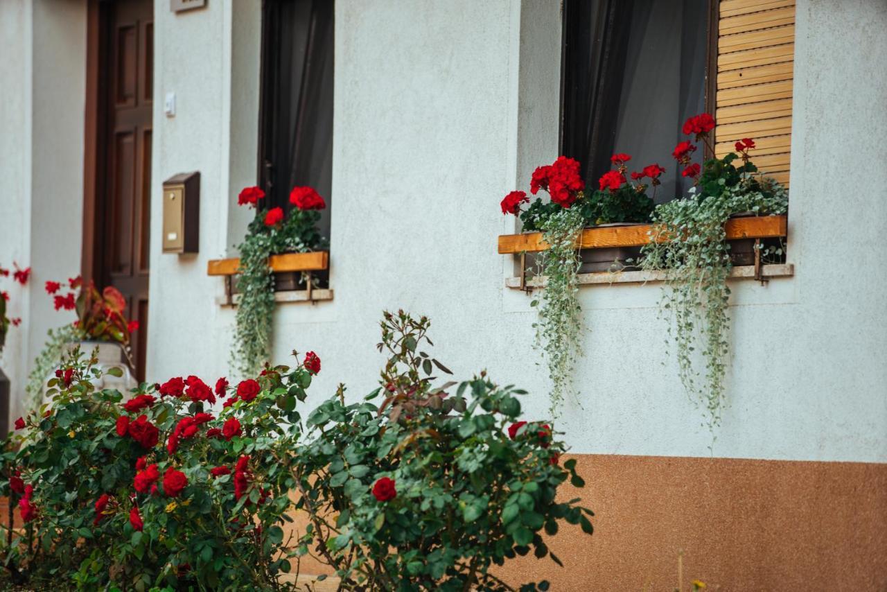 Stol Apartments Zirovnica Exterior foto